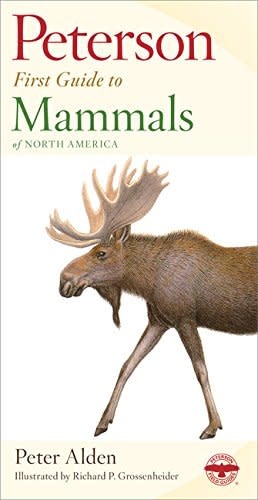 Peterson Field First Guide To Mammals