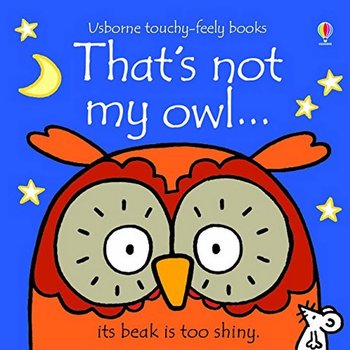 Usborne Touchy-Feely Board Book:  That's Not My Owl