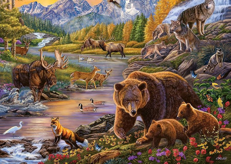 Ravensburger Ravensburger Puzzle 500pc Large Format Wilderness