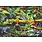 Ravensburger Ravensburger Puzzle 35pc Amazing Amphibians