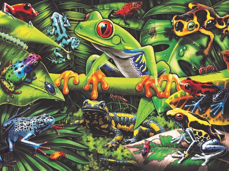 Ravensburger Ravensburger Puzzle 35pc Amazing Amphibians
