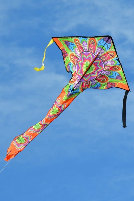 Premier Kite Easy Large Flyers Mandala