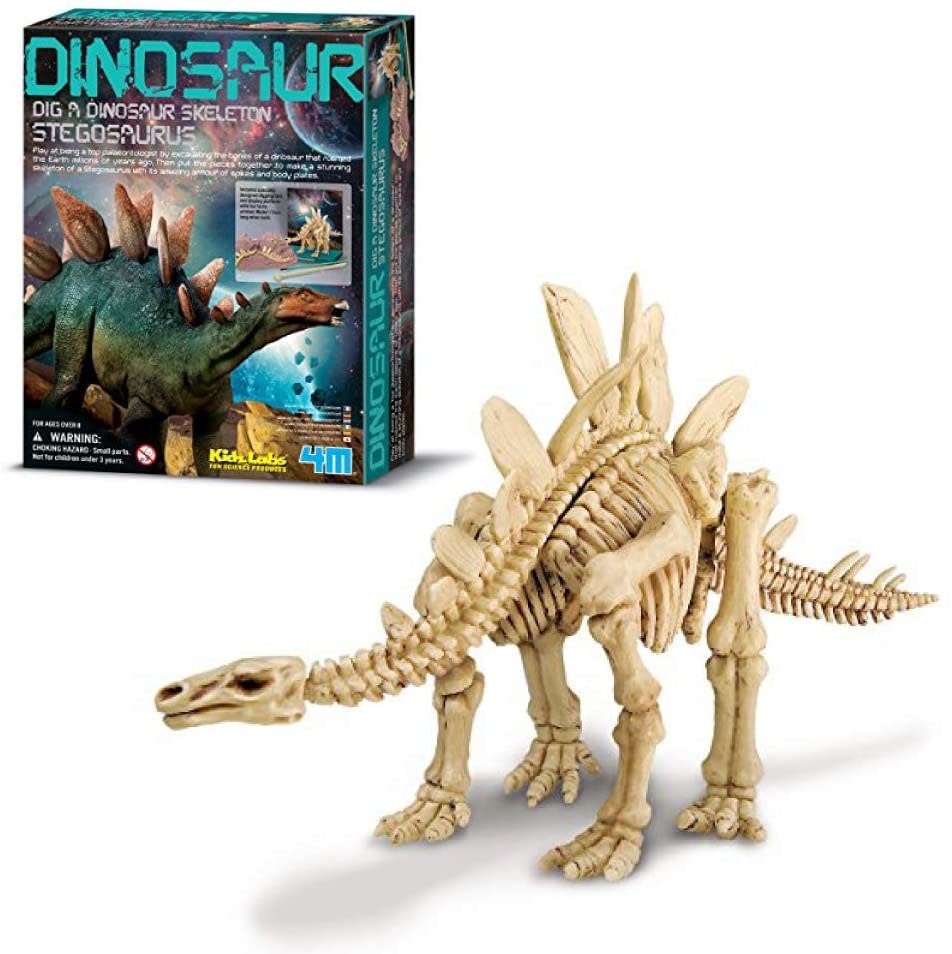4M KidzLab Dig A Dinosaur Skeleton: Stegosaurus
