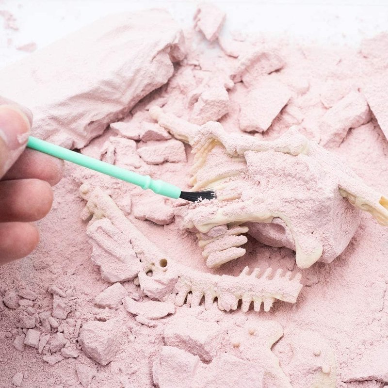 4M KidzLab Dig A Dinosaur Skeleton: Stegosaurus