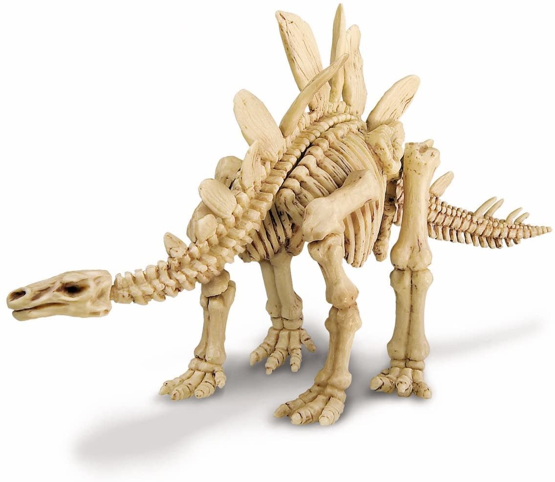 4M KidzLab Dig A Dinosaur Skeleton: Stegosaurus