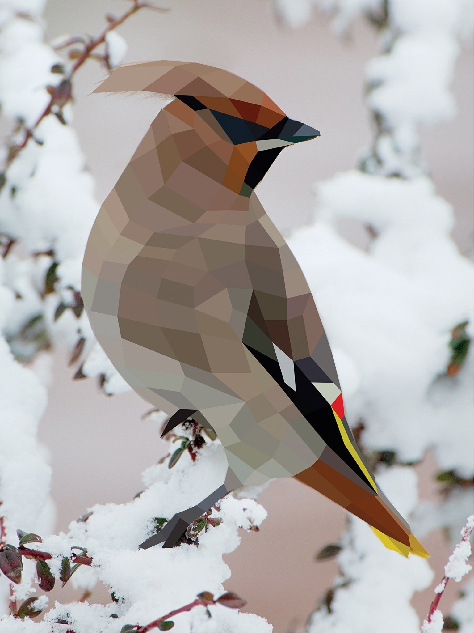 Workman Publishing Paint by Stickers: Birds