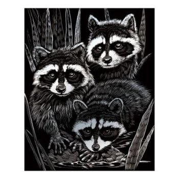 Engraving Art Silver Foil Raccoons