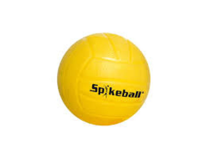 Spikeball Regular Ball