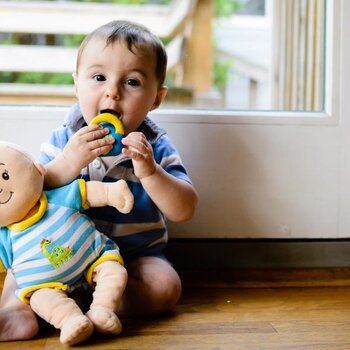 Dolls & Doll Houses