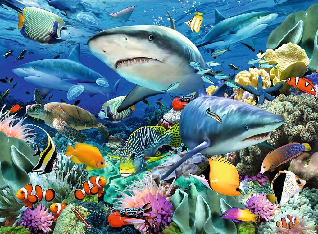 Ravensburger Ravensburger Puzzle 100pc Shark Reef