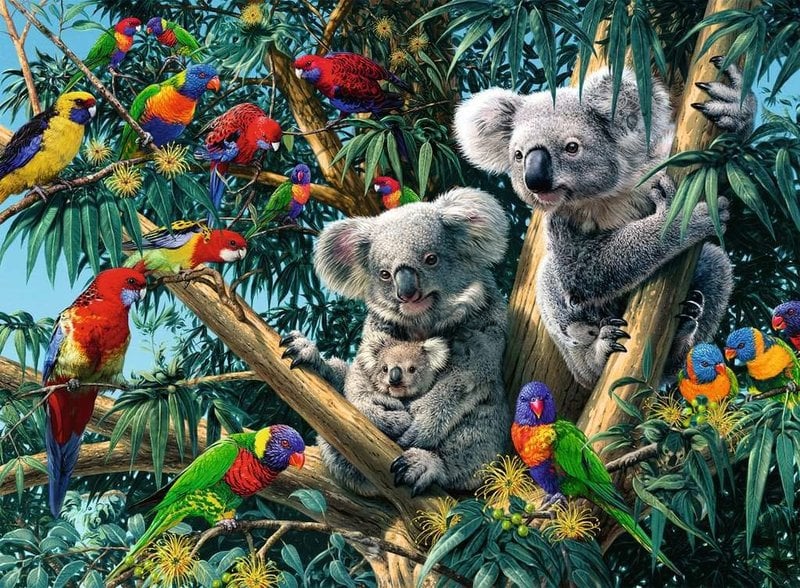 Ravensburger Ravensburger Puzzle 500pc Koalas in a Tree