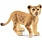 Schleich Schleich Wild Life Lion Cub