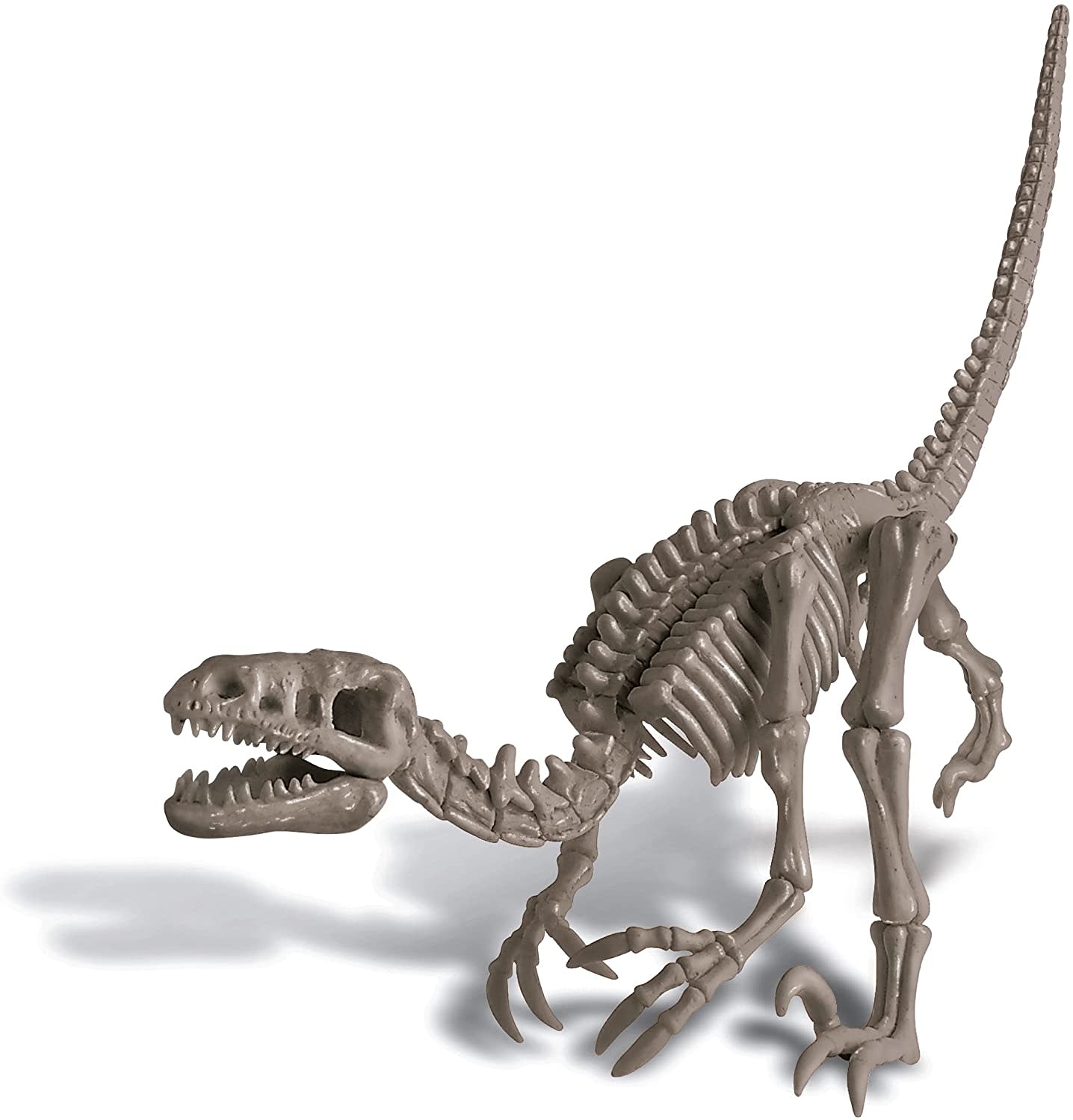 4M KidzLab Dig A Dinosaur Skeleton: Velociraptor