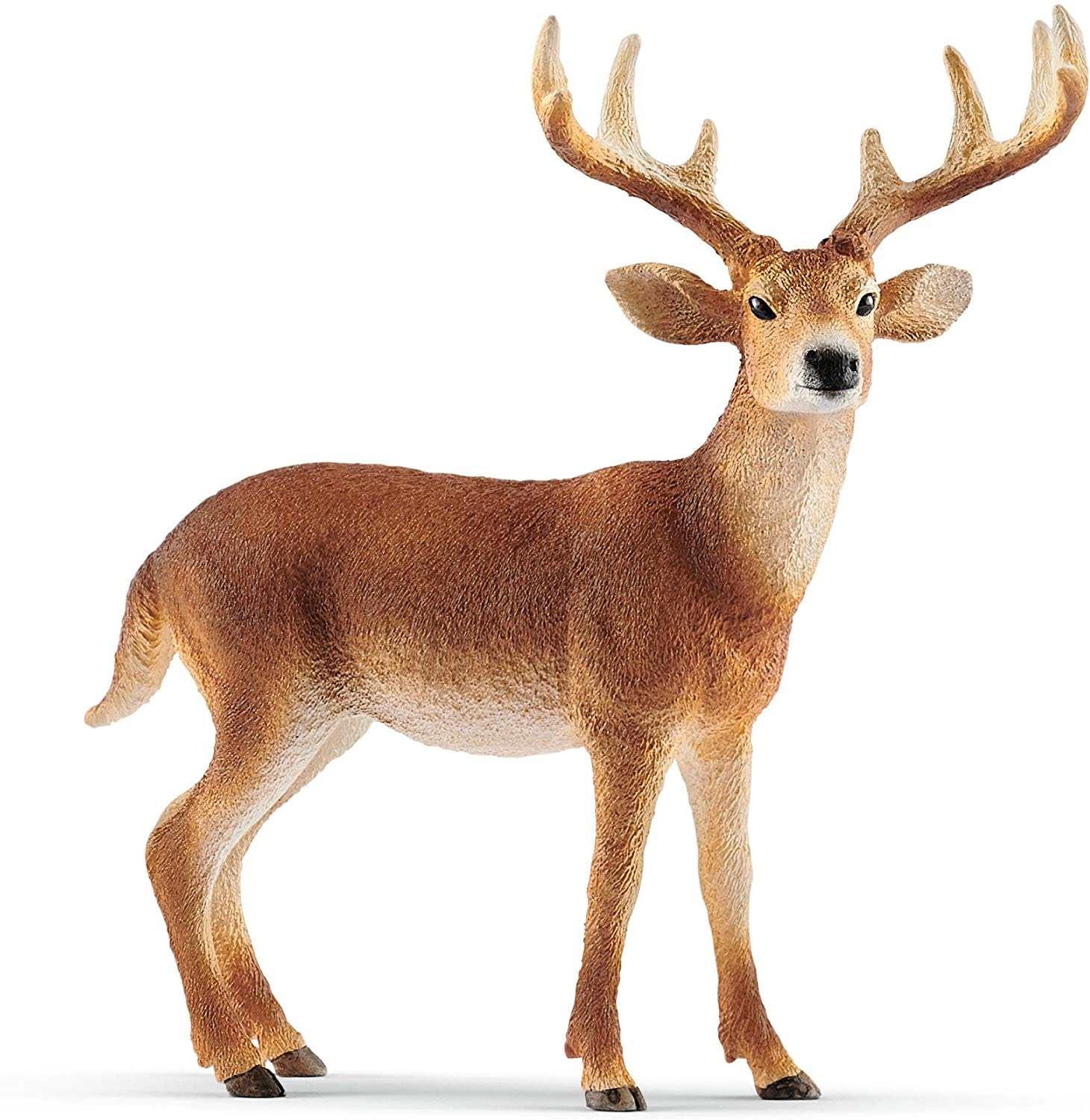 Schleich Schleich Wild Life White-tailed Buck