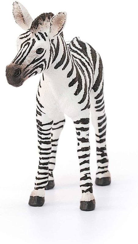 Schleich Schleich Wild Life Zebra Foal