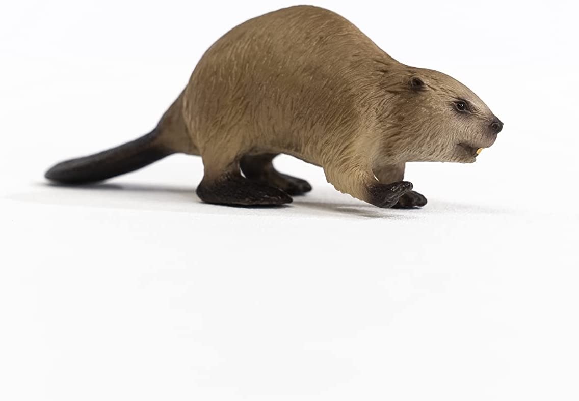 Schleich Schleich Wild Life Beaver