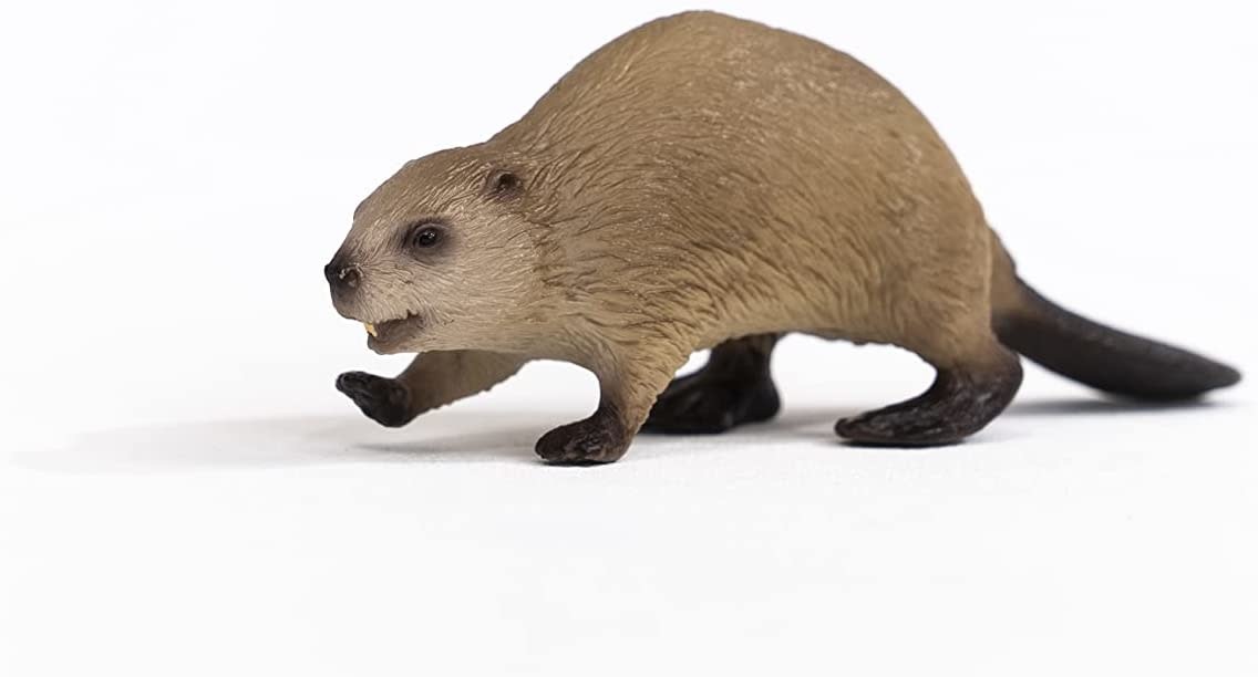 Schleich Schleich Wild Life Beaver