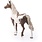 Schleich Schleich Horse Club Horse Paint Horse Gelding