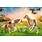 Playmobil Playmobil Icelandic Ponies with Foals