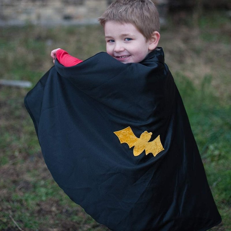 Great Pretenders Reversible Spider/Bat Cape & Mask 4-6