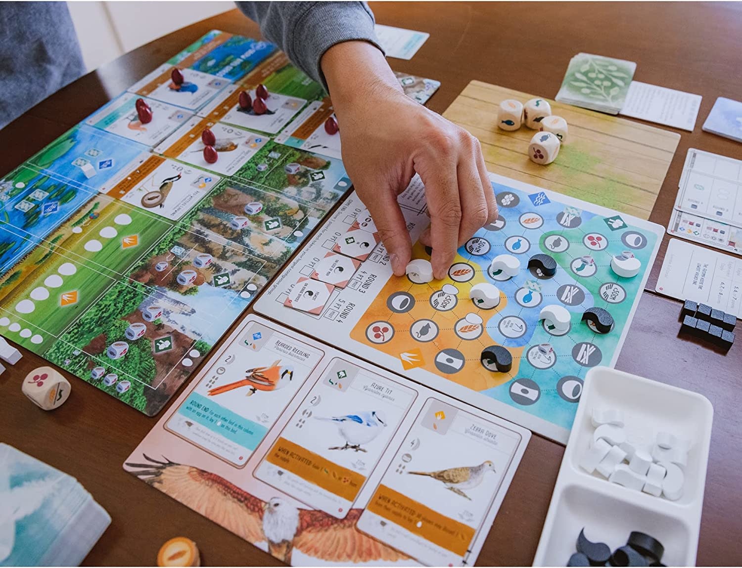 Wingspan: Asia Expansion Game