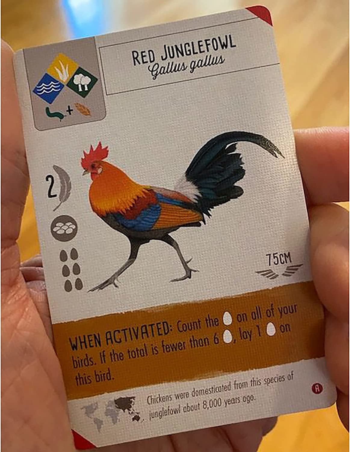 Wingspan: Asia Expansion Game