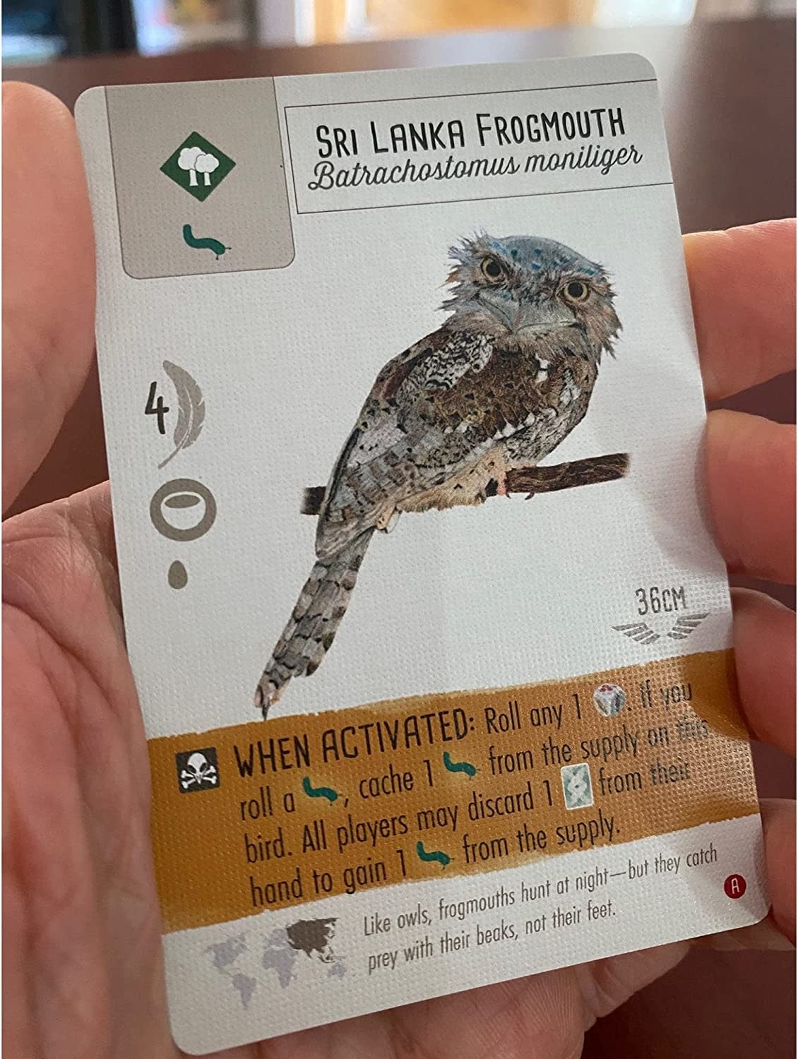 Wingspan: Asia Expansion Game