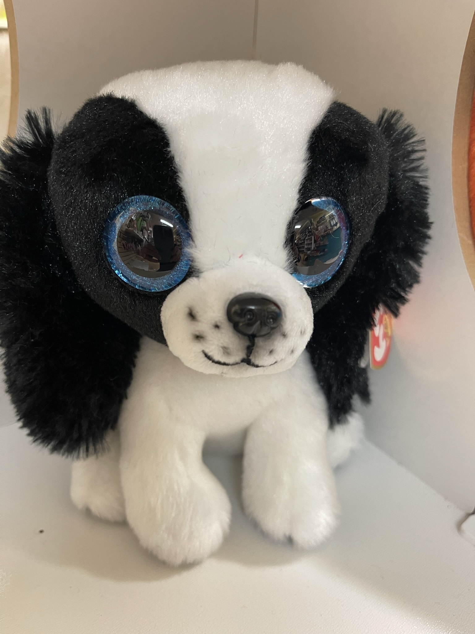 Ty Ty Beanie Boo Sissy Dog