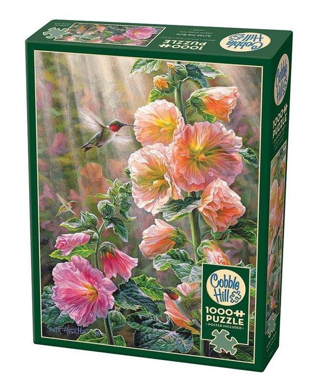 Cobble Hill Puzzles Cobble Hill Puzzle 1000pc After the Rain