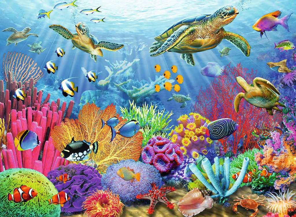 Ravensburger Ravensburger Puzzle 500pc Tropical Waters