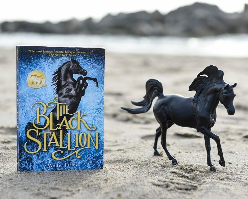 Breyer Breyer Book & Horse Set Black Stallion