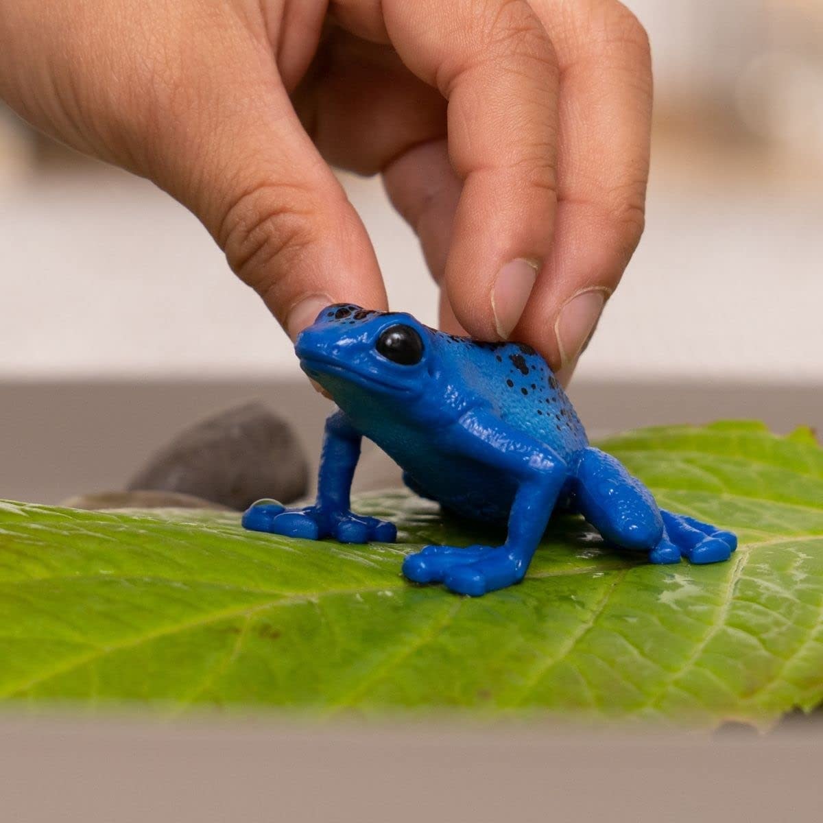 Schleich Schleich Wild Life Blue Poison Dart Frog