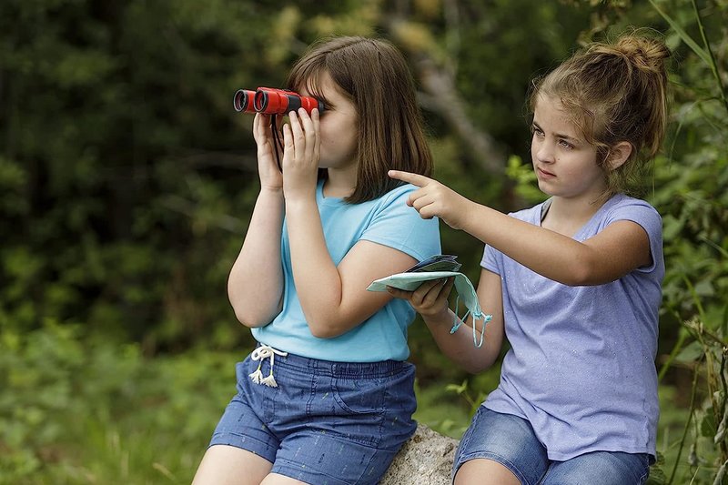 Beetle & Bee Little Birder Kit