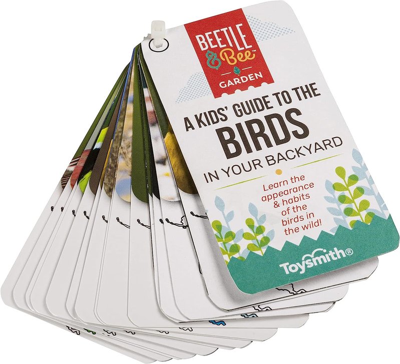 Beetle & Bee Little Birder Kit