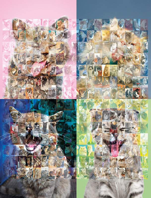 Klutz Klutz Book Sticker Photo Mosaics: Cats & Kittens
