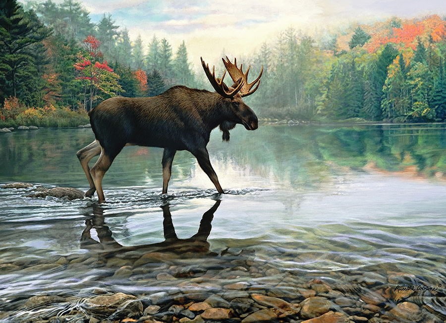 Cobble Hill Puzzles Cobble Hill Puzzle 1000pc Moose Crossing