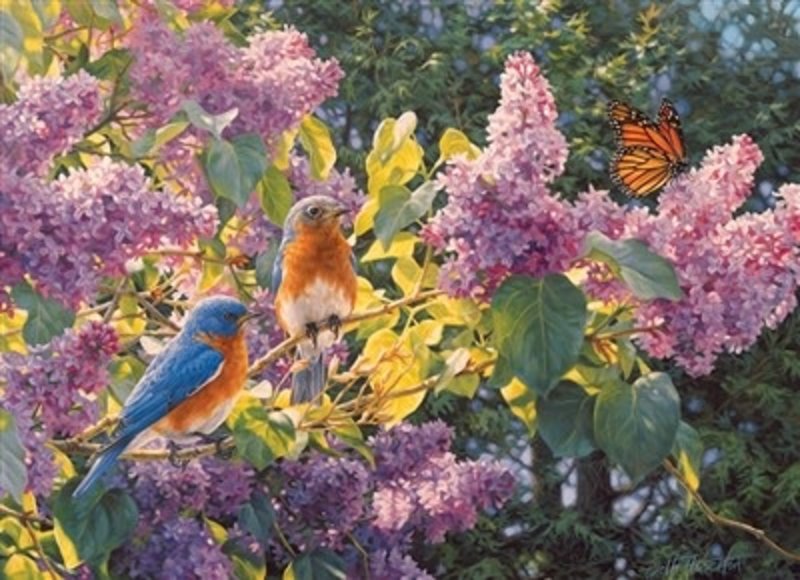 Cobble Hill Puzzles Cobble Hill Puzzle 500pc Spring Interlude