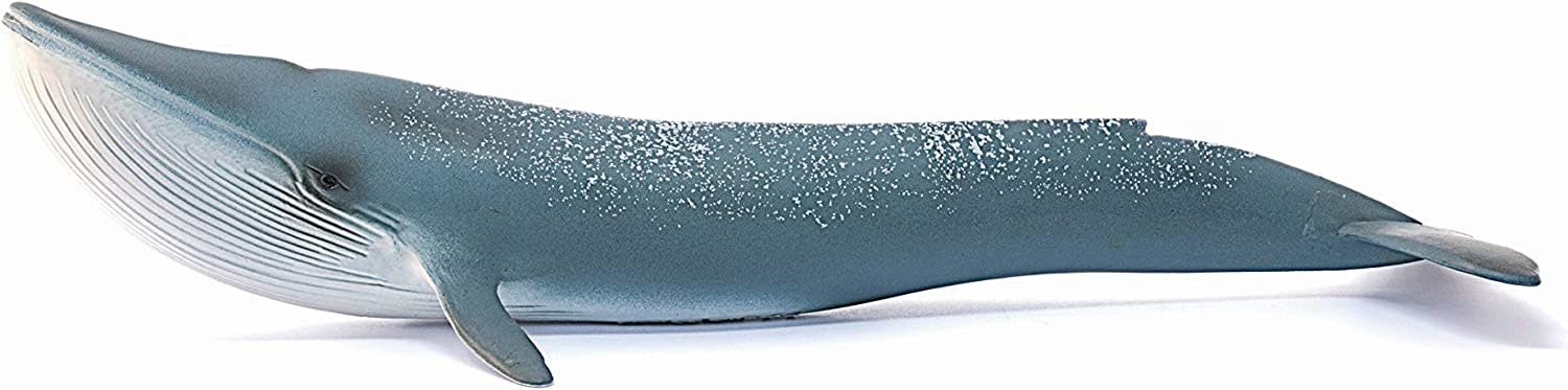Schleich Schleich Wild Life Blue Whale