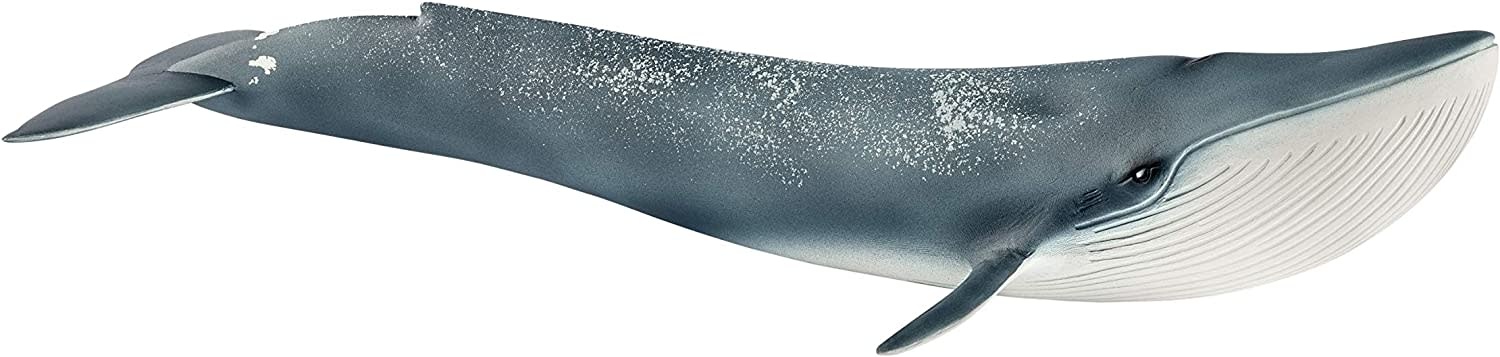 Schleich Schleich Wild Life Blue Whale