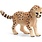 Schleich Schleich Wild Life Cheetah Cub