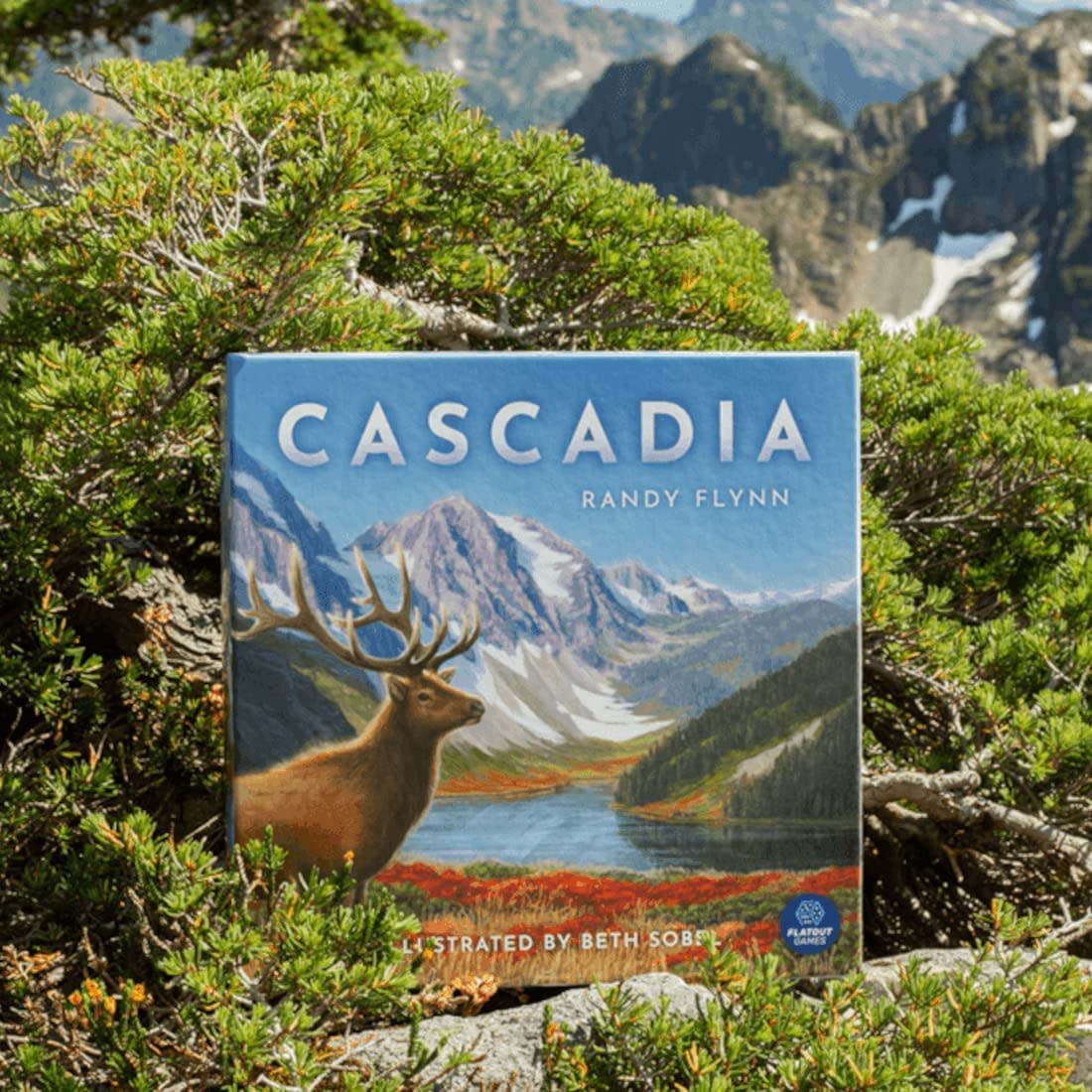 Cascadia Board Game