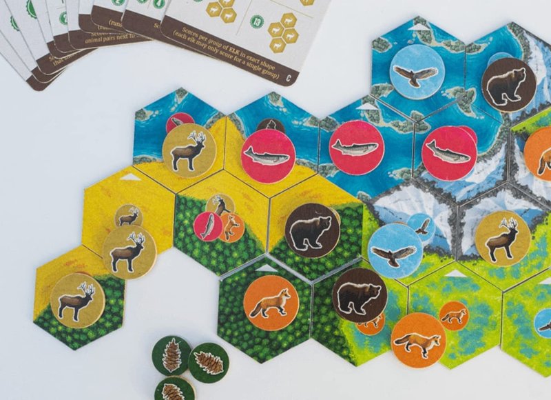 Cascadia Board Game