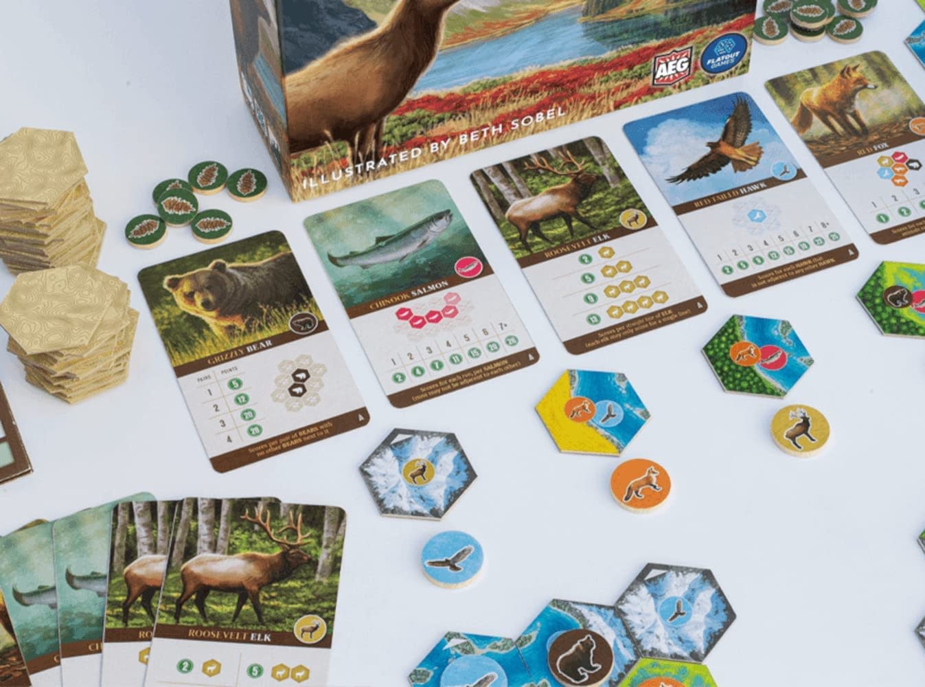 Cascadia Board Game