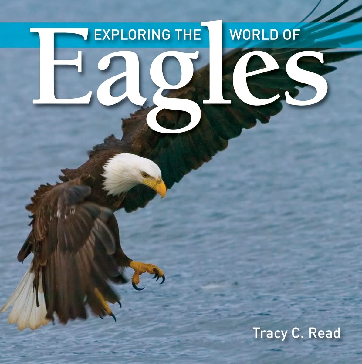 firefly-books-world-of-eagles-