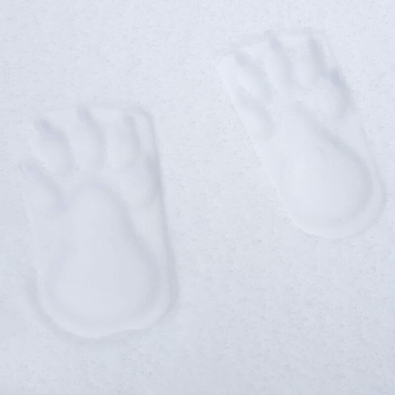 Snow Sector Bear Feet Snow Stampers