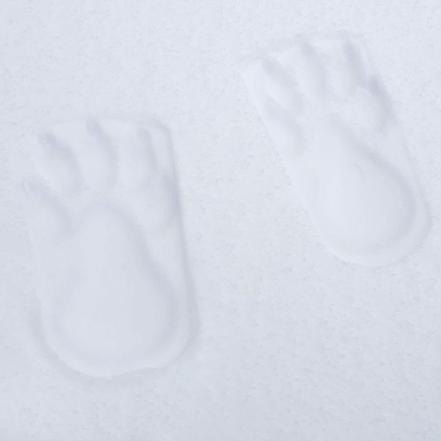 Snow Sector Bear Feet Snow Stampers