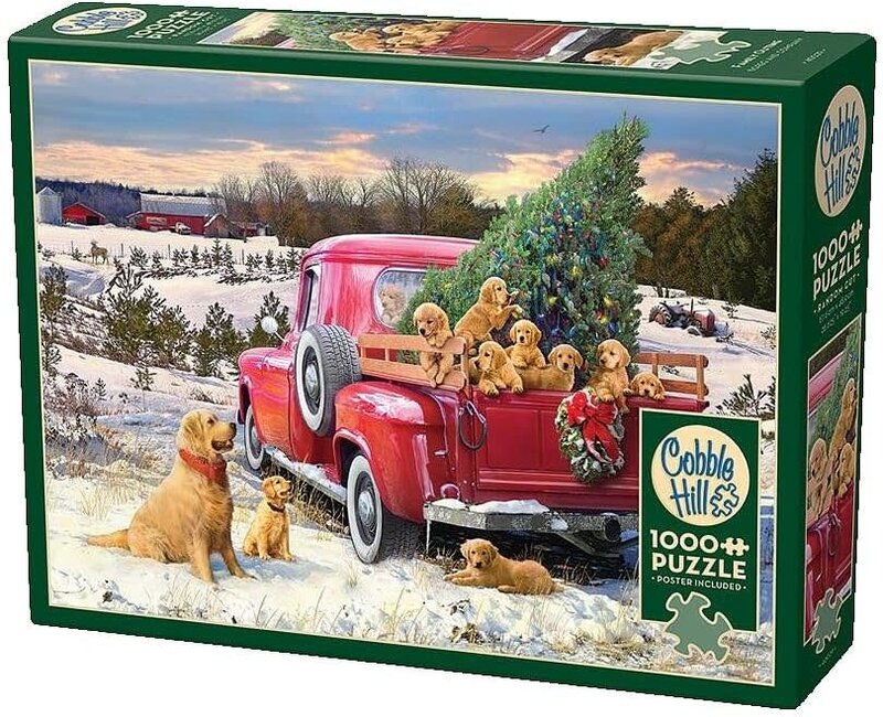 Cobble Hill Puzzles Cobble Hill Puzzle 1000pc Family Outing