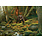 Cobble Hill Puzzles Cobble Hill Puzzle 1000pc Mother Nature