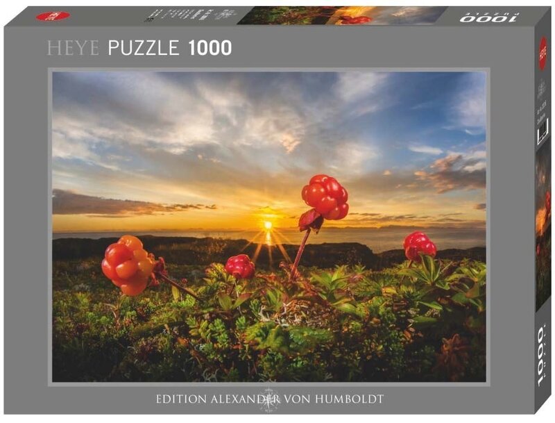 Heye Heye Puzzle 1000pc Cloudberries