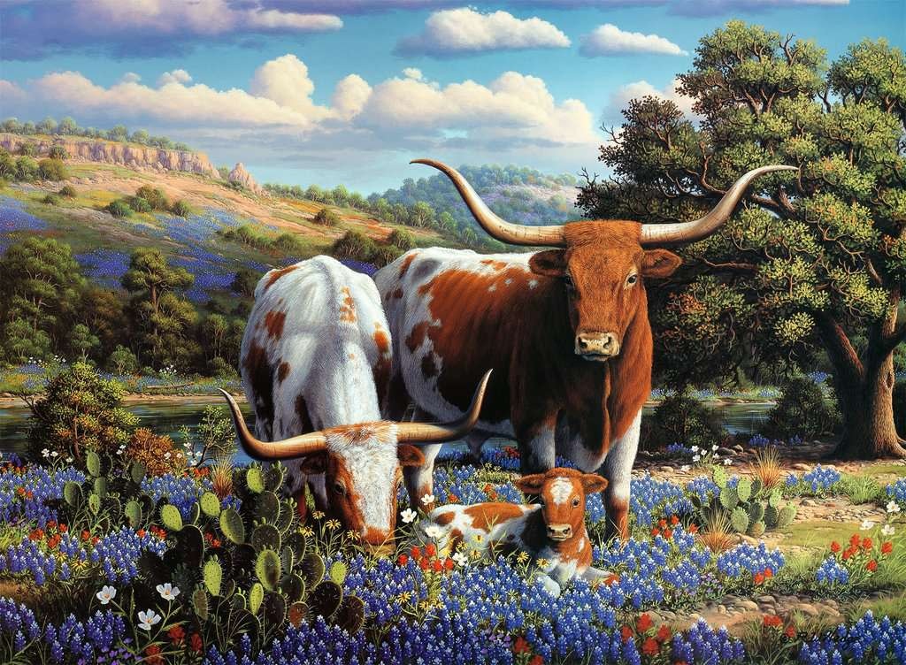 Ravensburger Ravensburger Puzzle 500pc Loving Longhorns